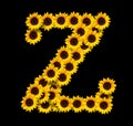 Capital letter Z made of yellow sunflowers Royalty Free Stock Photo