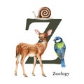 Capital letter Z with zoology symbol. Watercolor illustration. Forest animal ABC alphabet font element. Wildlife animal