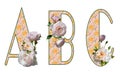 Capital letters of the Latin alphabet A, B, C with pink blurred floral fill and white roses. Isolated elements on a white.