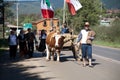 Oxcart parade in Capitan Pastene, Chile