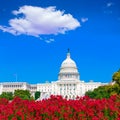 Capitol building Washington DC pink flowers USA Royalty Free Stock Photo