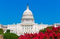 Capitol building Washington DC pink flowers USA Royalty Free Stock Photo