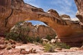 Capitol Reef National Park