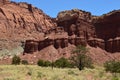 Capitol Reef national park Royalty Free Stock Photo