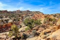 Capitol Reef Terrain