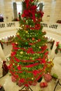 Capitol Rotunda Christmas Tree Royalty Free Stock Photo