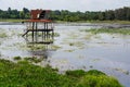 Capitol Water, shelters made of wood decay in the middle of the Royalty Free Stock Photo