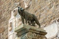 The Capitoline Wolf is a bronze sculpture. Romulus and Remus founders of Rome Royalty Free Stock Photo