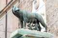 Capitoline Wolf, Italian: Lupa Capitolina - bronze sculpture of she-wolf nurses Romulus and Remus, Capitoline Hill, Rome Royalty Free Stock Photo