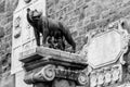 Capitoline Wolf, Italian: Lupa Capitolina - bronze sculpture of she-wolf nurses Romulus and Remus, Capitoline Hill, Rome Royalty Free Stock Photo