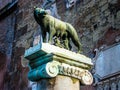 Capitoline Wolf Royalty Free Stock Photo