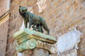 Capitoline Wolf Lupa Capitolina statue aside Palazzo Senatorio at Campidoglio square in Rome, Italy