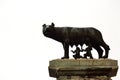 Capitoline Wolf Rome Italy Royalty Free Stock Photo