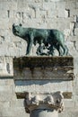 The Capitoline Wolf in rome, Italy