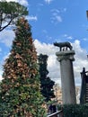 The Capitoline Wolf Statue in Rome, Italy