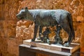 Capitoline Wolf in Tarragona, Spain. Part of The Archaeological Ensemble of Tarraco, declared a UNESCO