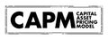 CAPM Capital Asset Pricing Model - relationship between systematic risk and expected return for assets, acronym text concept stamp Royalty Free Stock Photo