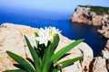 Capo Caccia