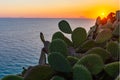 Capo Vaticano- Calabria Italy