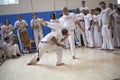 Capoeira Festival