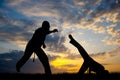 Capoeira at sunset Royalty Free Stock Photo
