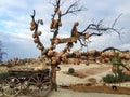 Cappadocia famous Pottery tree under the blue sky Royalty Free Stock Photo