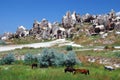 Cappadocia / Turkey Royalty Free Stock Photo