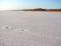 Cappadocia. Turkey. Panorama of the boundless dried salt pink lake. Royalty Free Stock Photo