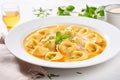 cappelletti in brodo. Traditional italian soup on wooden table