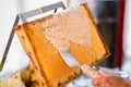 Metal Capping Scratcher Decapping Honeycombs of a Beekeeping Beehive from Beewax Royalty Free Stock Photo