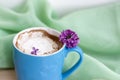 Cappuccino coffee in beautiful blue cups. Spring mood with a Cup of coffee. Royalty Free Stock Photo