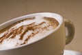 Cappuccino coffee cup Royalty Free Stock Photo