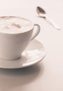 Cappuccino cup Royalty Free Stock Photo