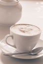 Cappuccino cup Royalty Free Stock Photo