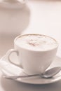 Cappuccino cup Royalty Free Stock Photo