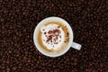 Cappucino in cup on coffee beans Royalty Free Stock Photo