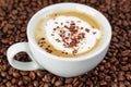 Cappucino in cup on coffee beans Royalty Free Stock Photo