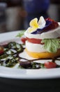 Caprese Appetizer Royalty Free Stock Photo