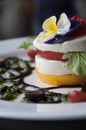 Caprese Appetizer Royalty Free Stock Photo