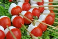 Caprese Appetizer Royalty Free Stock Photo