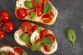 Caprese bruschetta toasts with mozzarella, cherry tomatoes and fresh garden basil.Traditional italian appetizer or snack Royalty Free Stock Photo