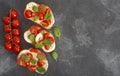 Caprese bruschetta toasts with mozzarella, cherry tomatoes and fresh garden basil.Traditional italian appetizer or snack Royalty Free Stock Photo