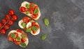 Caprese bruschetta toasts with mozzarella, cherry tomatoes and fresh garden basil.Traditional italian appetizer or snack Royalty Free Stock Photo