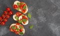 Caprese bruschetta toasts with mozzarella, cherry tomatoes and fresh garden basil.Traditional italian appetizer or snack Royalty Free Stock Photo