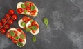 Caprese bruschetta toasts with mozzarella, cherry tomatoes and fresh garden basil.Traditional italian appetizer or snack Royalty Free Stock Photo