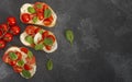 Caprese bruschetta toasts with mozzarella, cherry tomatoes and fresh garden basil.Traditional italian appetizer or snack, Royalty Free Stock Photo