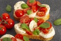 Caprese bruschetta toasts with mozzarella, cherry tomatoes and fresh garden basil.Traditional italian appetizer or snack Royalty Free Stock Photo