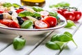 Caprese. Caprese salad. Italian salad. Mediterranean salad. Italian cuisine. Mediterranean cuisine. Royalty Free Stock Photo