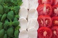 Caprese - italian food with background