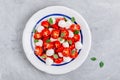 Caprese Italian salad with tomato, mozzarella and basil. Top view
